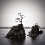 Tillamook