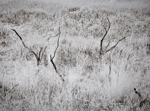 Last Remains
