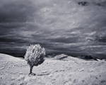 Alone