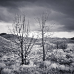 Sentinels