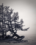 At the Edge