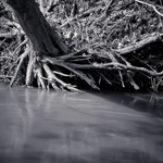 Anchored