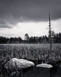 Erratic