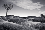 Undulation