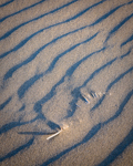 Feather