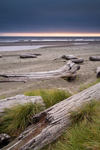 North Coast