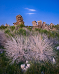 Rabbitbrush and Tufa